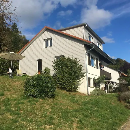 Villa Alpenpanorama am Hochrhein Gailingen Exterior foto