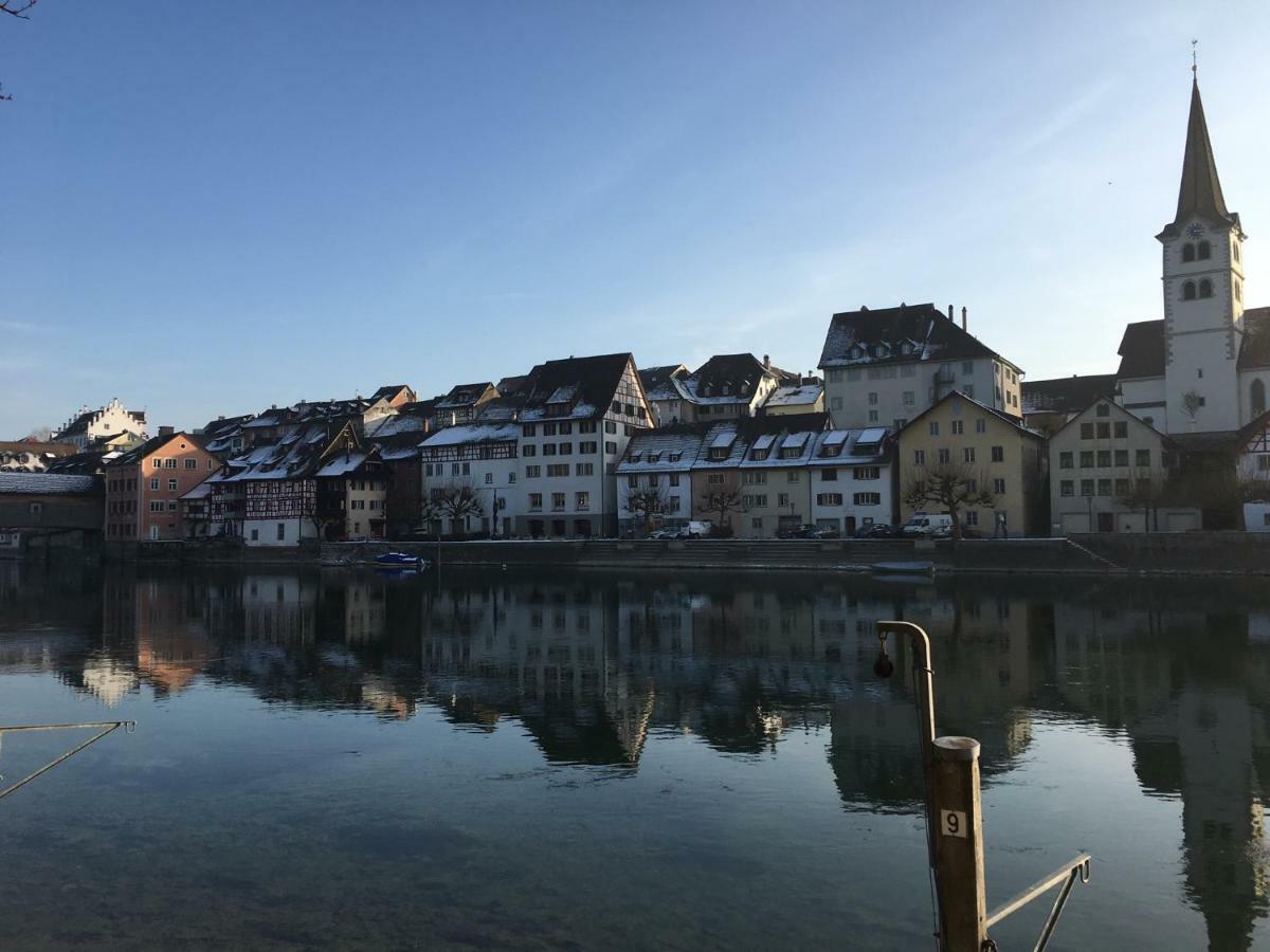 Alpenpanorama Am Hochrhein Gailingen
