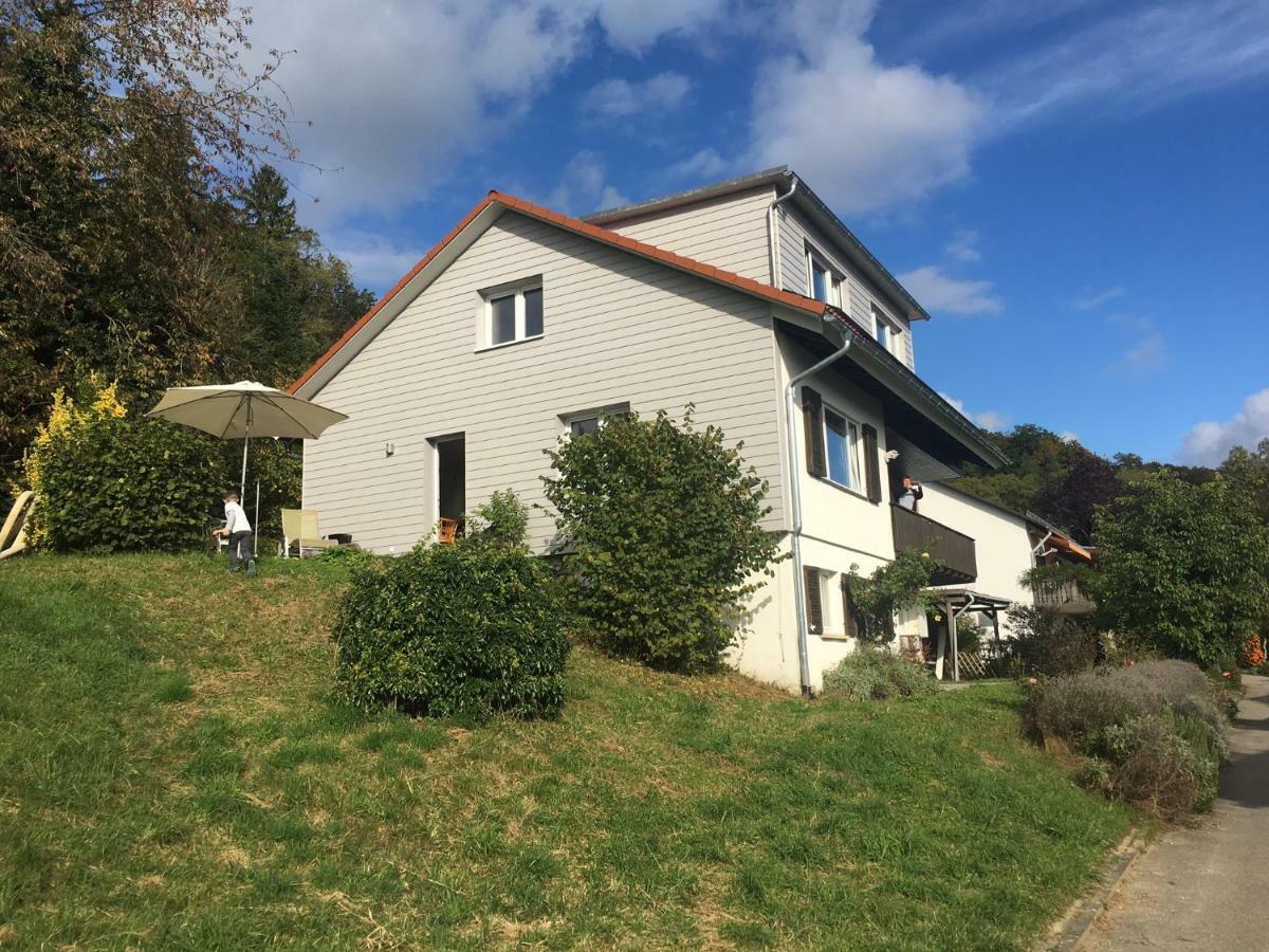 Ferienhaus Alpenpanorama Am Hochrhein