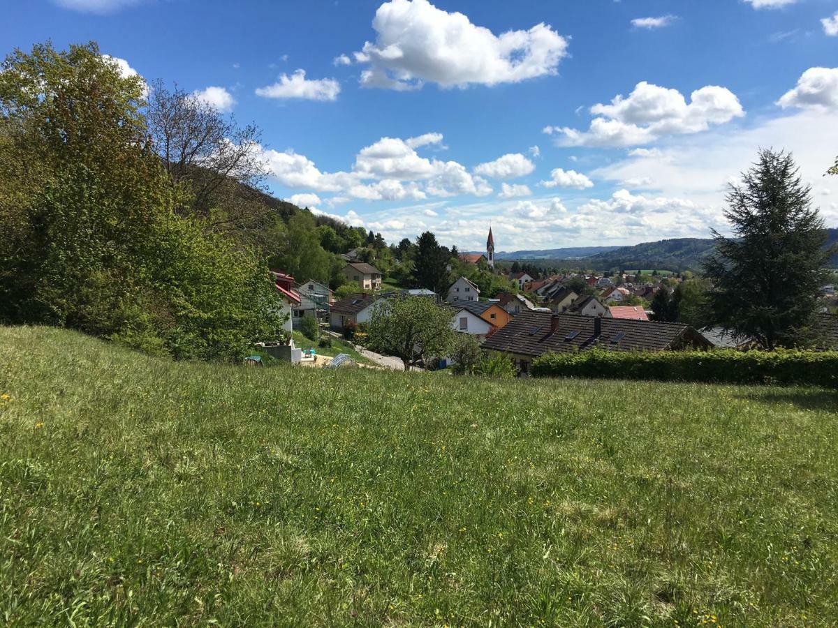 Alpenpanorama Am Hochrhein Ferienhaus *