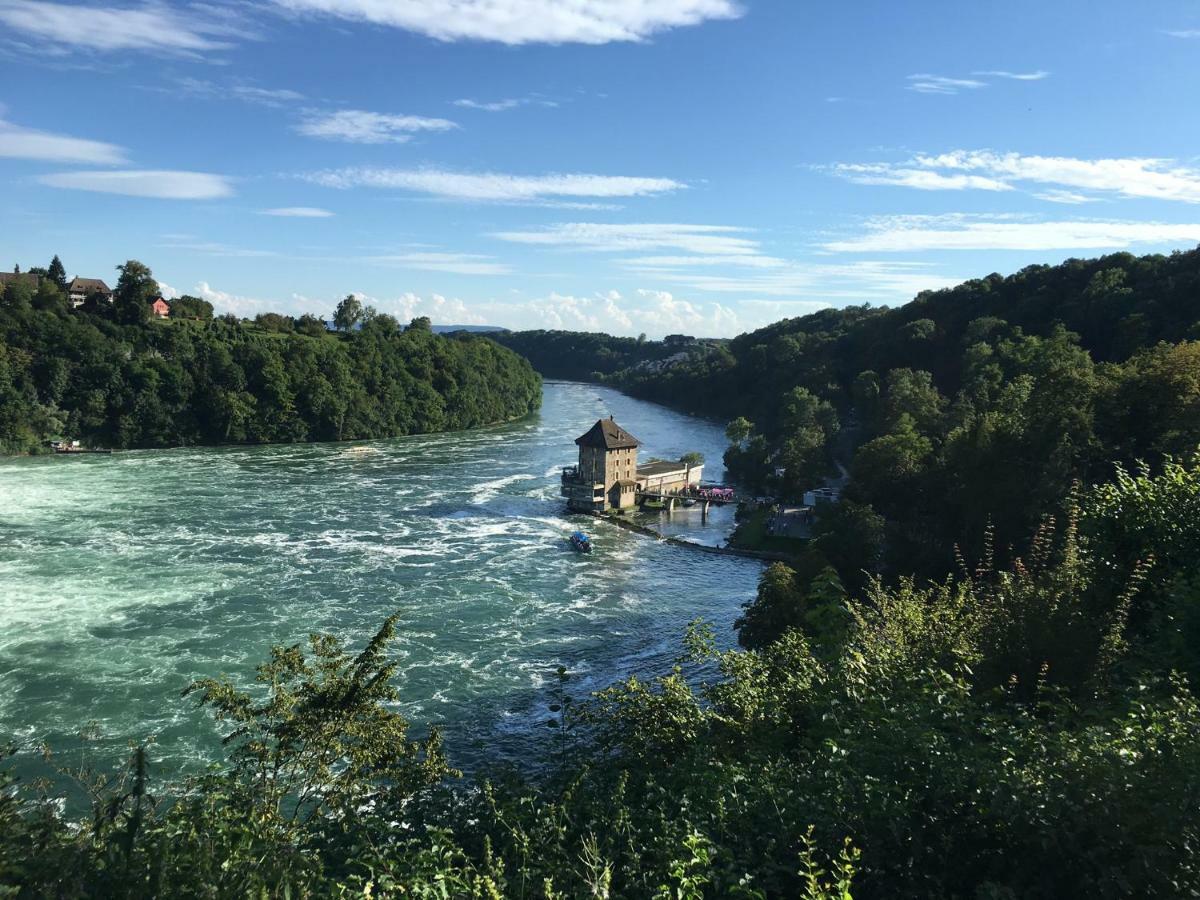 Alpenpanorama Am Hochrhein Ferienhaus