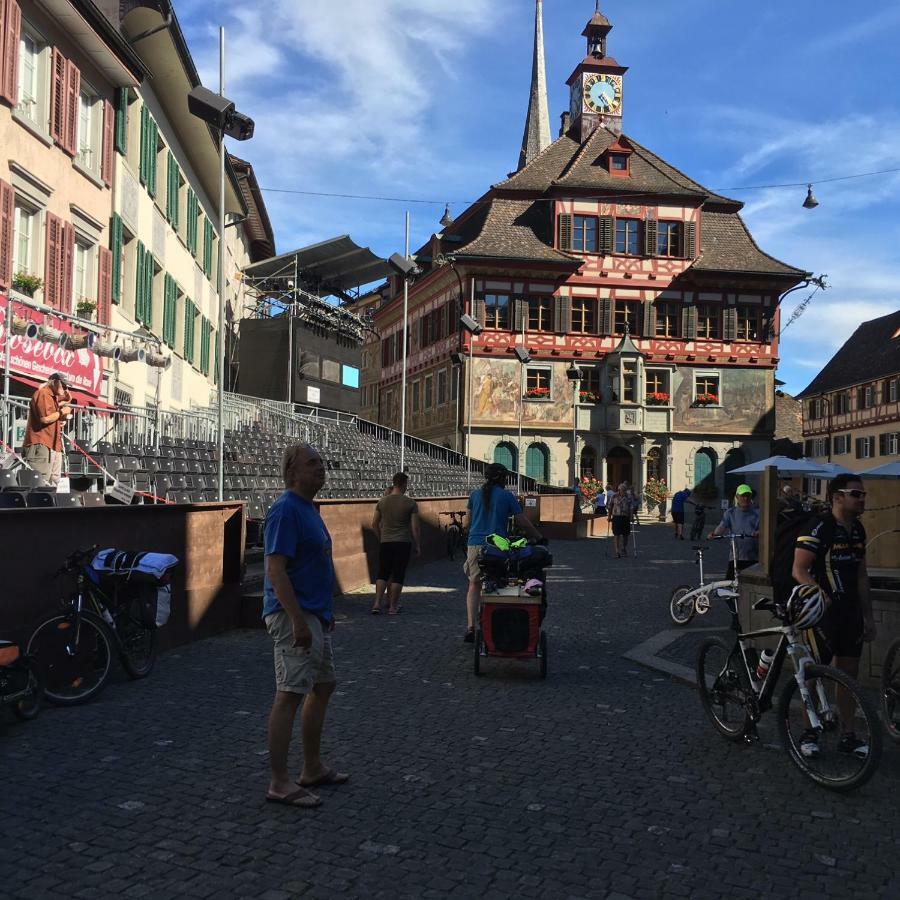 Alpenpanorama Am Hochrhein Ferienhaus *