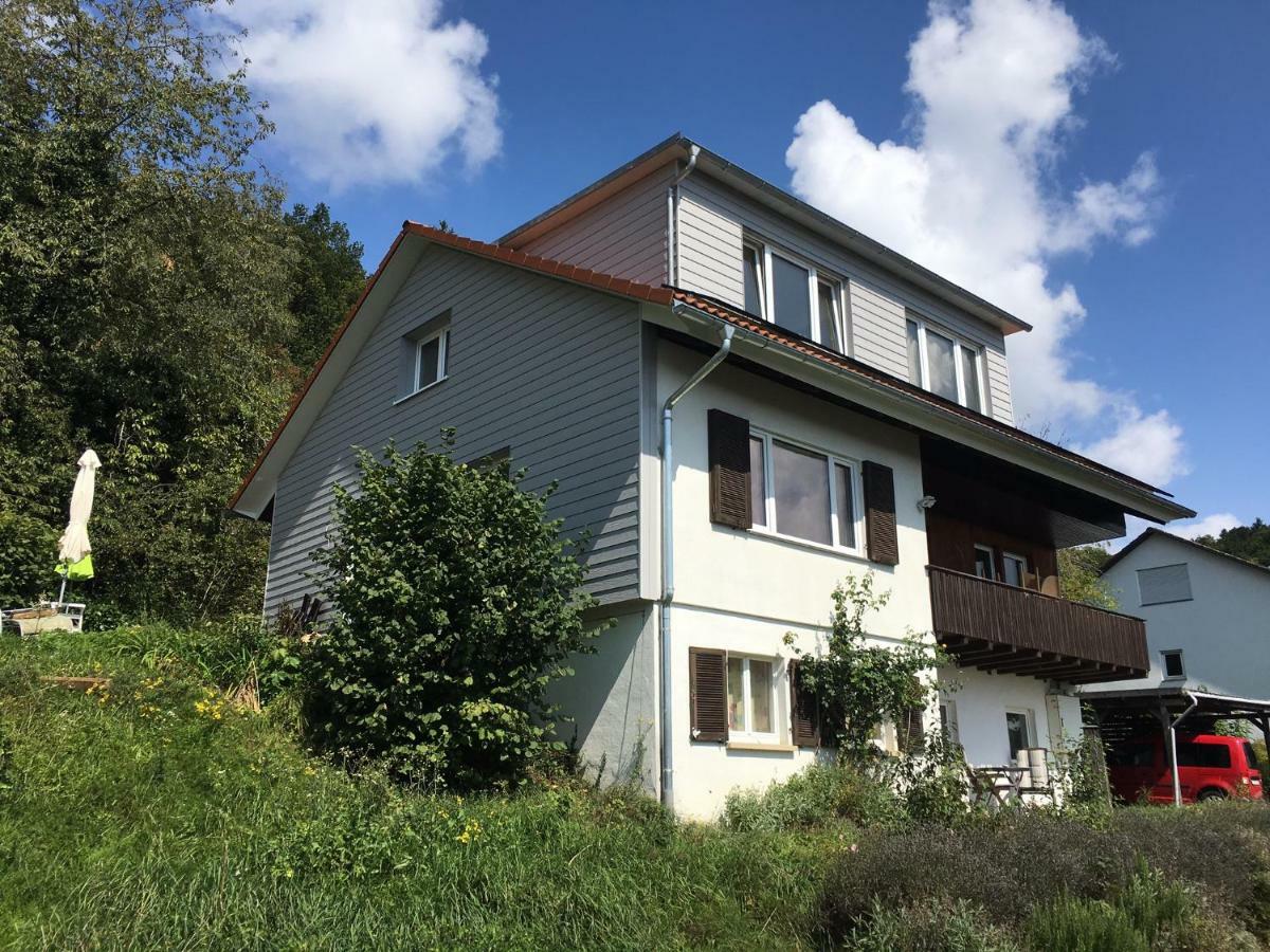 Alpenpanorama Am Hochrhein *