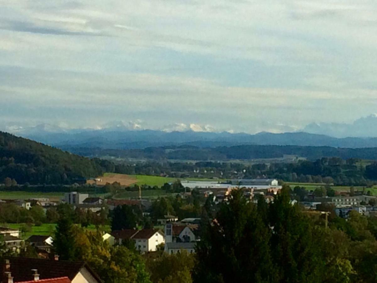 Alpenpanorama Am Hochrhein * Gailingen