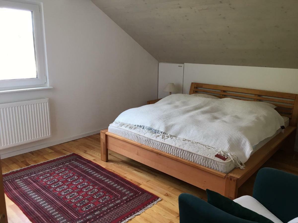 Alpenpanorama Am Hochrhein Holiday home